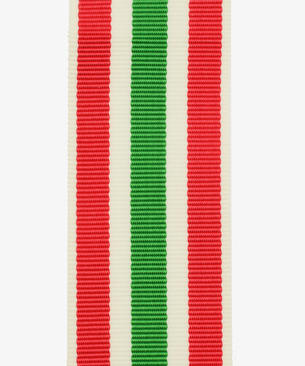 German Empire, Medal commemorating the return of Memelland (145)